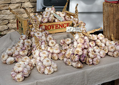 Garlic for sale