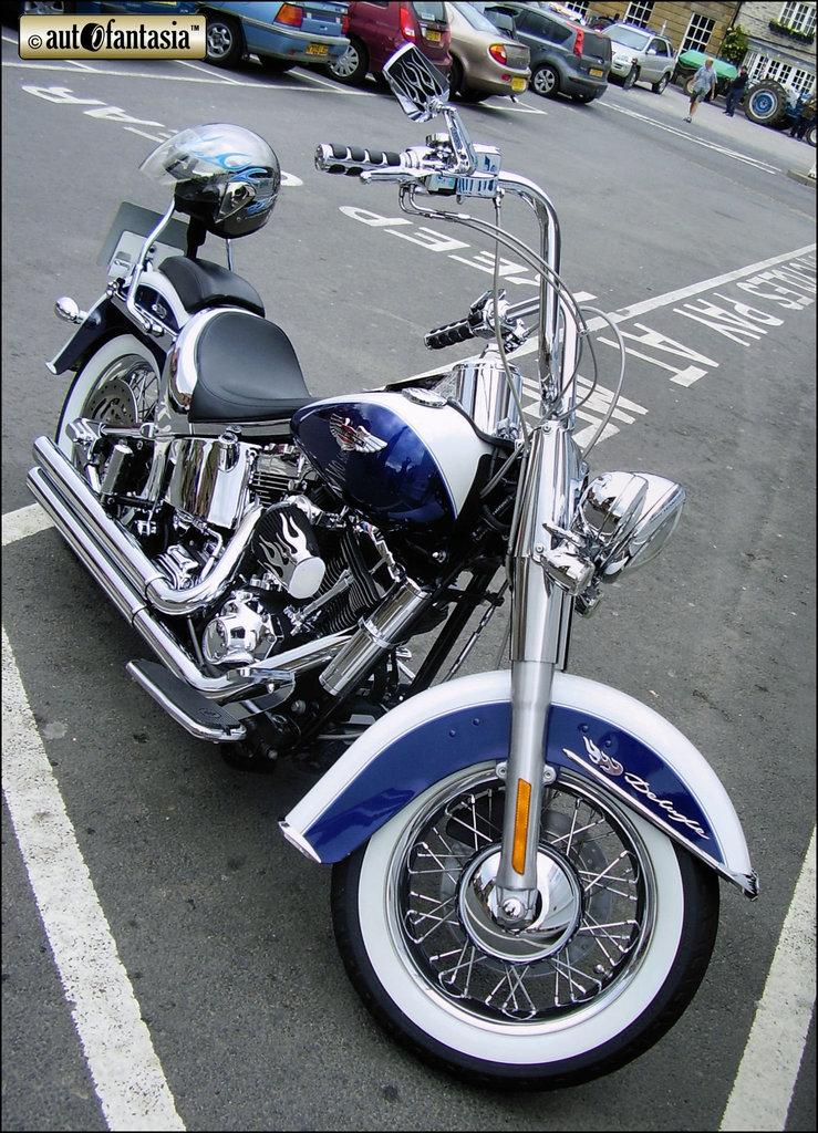 Harley-Davidson FLSTC Heritage Softail - Details Unknown