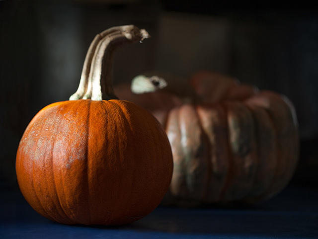 Diffused Light on Pumpkin