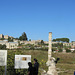 Fortress, mosque, basillica and temple ruins. A lot of history in one frame, which is what made Turkey my favorite country.