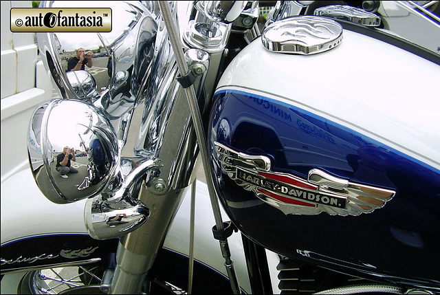 Harley-Davidson FLSTC Heritage Softail - Details Unknown