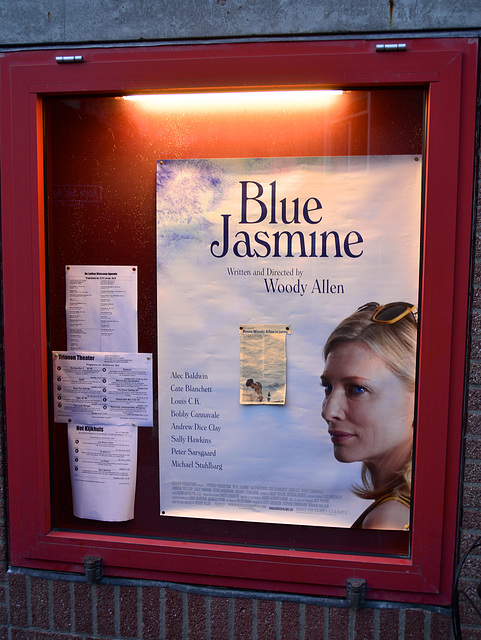 Blue Jasmine