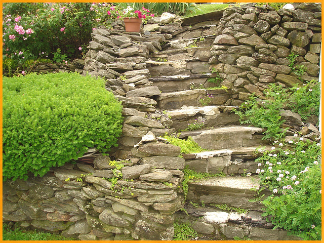 Escalier rocailleux et verdure / Rocky stairs among greenery.