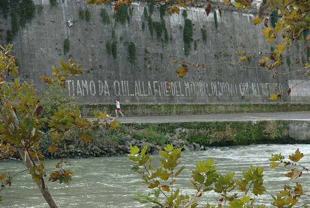 Rome, November 2013