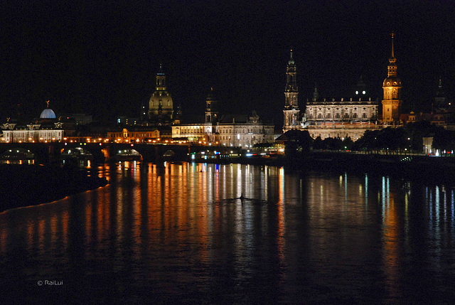 Das nächtliche Dresden in der Elbe gespiegelt