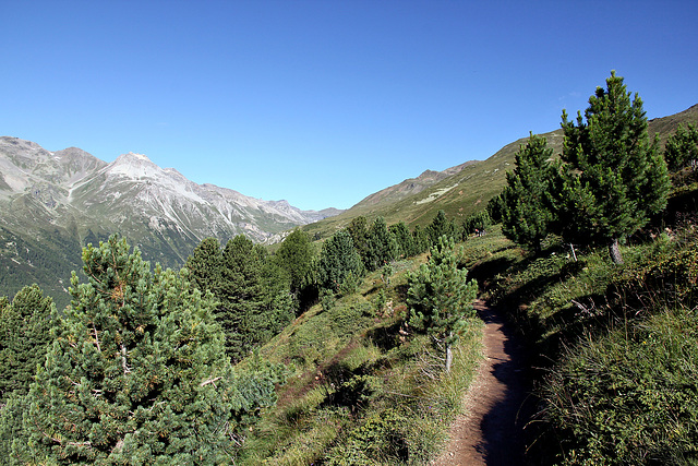 Wanderung zur Sesvennahütte