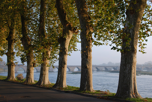 Le magnifique pont de Beaugency