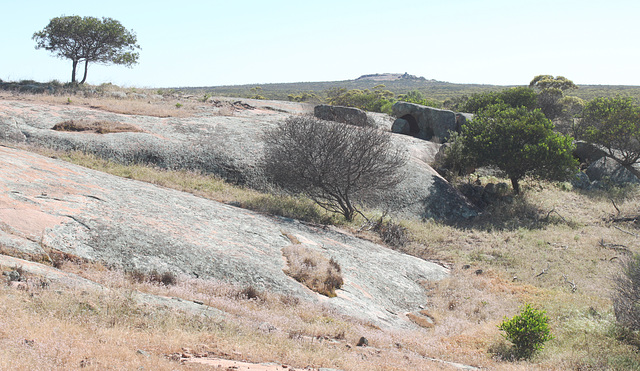 Corrobinnie Hill from Peela Rock