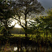 Goyt fisherman