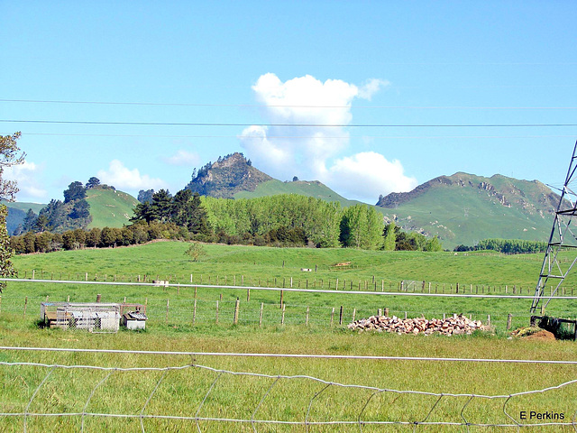 Looking back toward Whakamaru