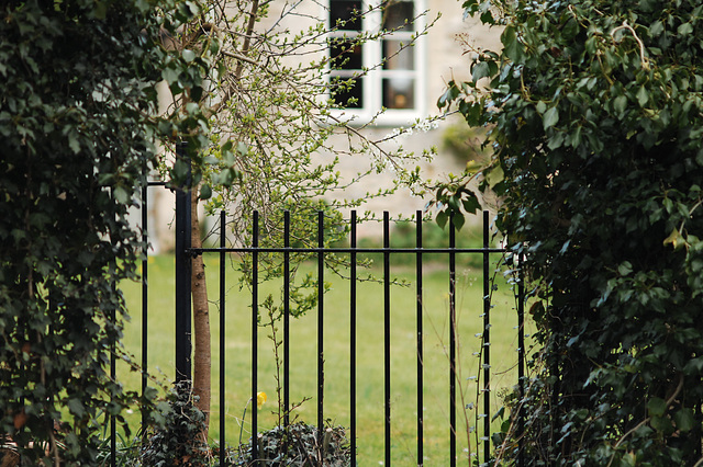 A Lacock Garden