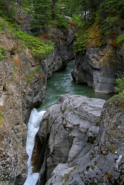 Maligne Canyon