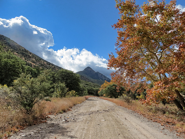 Huachuca Canyon