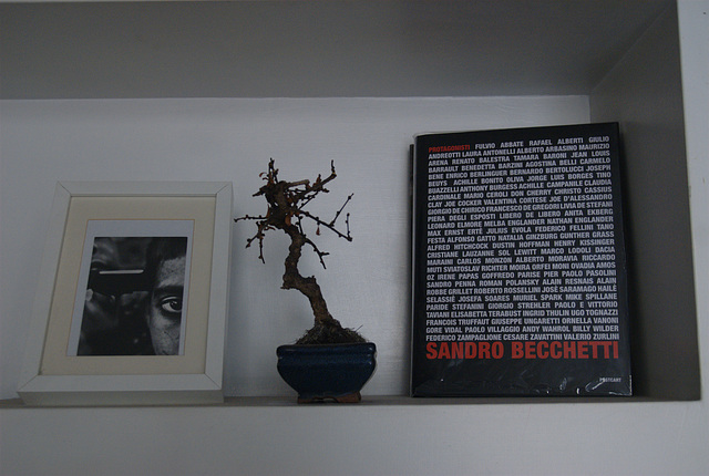 Rome, November 2013