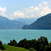 Le lac de Brienz (Oberland bernois)