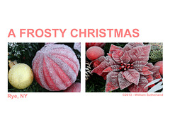 A Frosty Christmas 10x8