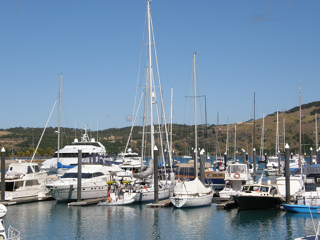 Marina, Hamilton Island