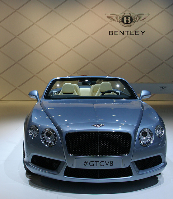 Bentley (3679)