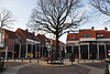Queen Wilhelmina tree in Rijnsburg