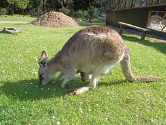 Tassie trip