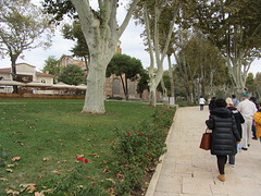 Park inside the gates of the Topkapi Palance