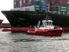 Schlepper vor Thalassa Hellas