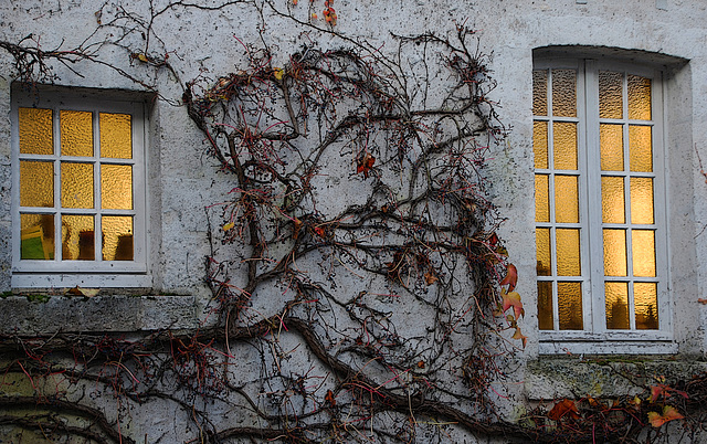 Ambiance d'automne