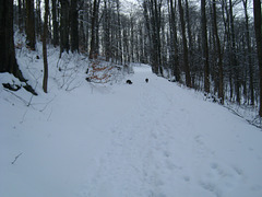 Waltersdorf / Lauscheweg