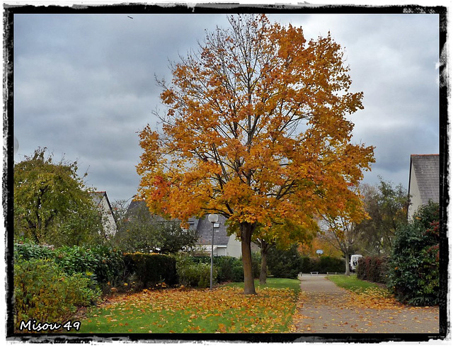 ANGERS