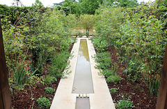 Tu ne me chercherais pas si tu ne m'avais déjà trouvé- Jardin 17 (10)