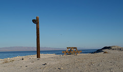 Salton Sea Beach (0757)