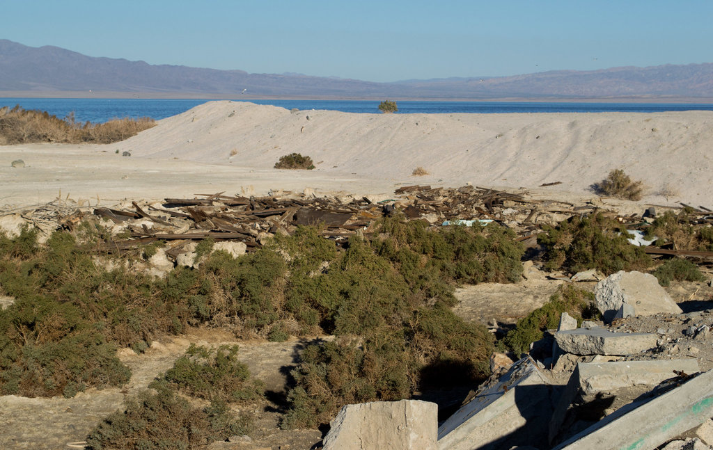 Salton Sea Beach (0738)