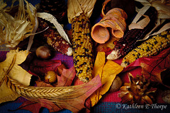 Fall Harvest Bounty
