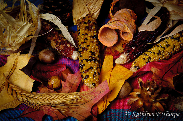 Fall Harvest Bounty