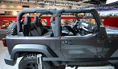 Jeep Wrangler Willys (3767)