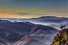 IMG 3966-Canigou-vu-du-Caroux