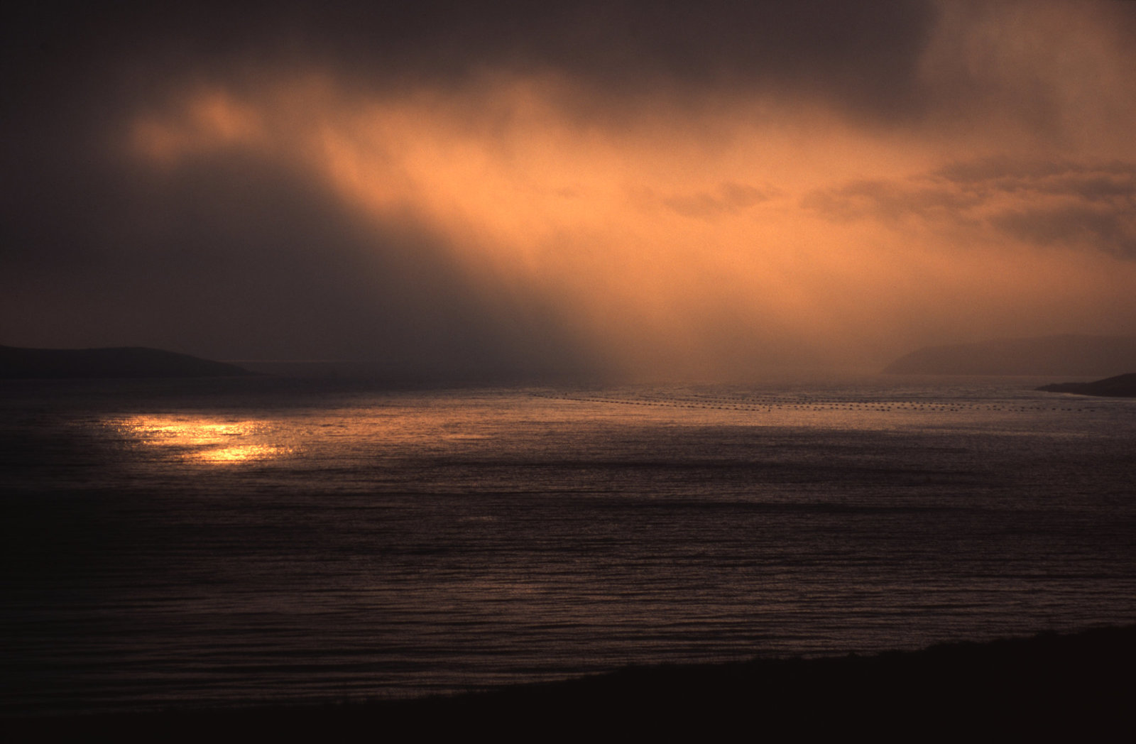 Shetland series
