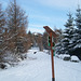 Oberlausitz - Ski-Loipen/ Wanderwege