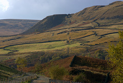 the trackway line