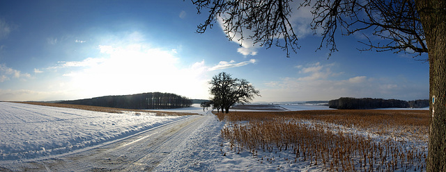 Wintermorgen (165°)