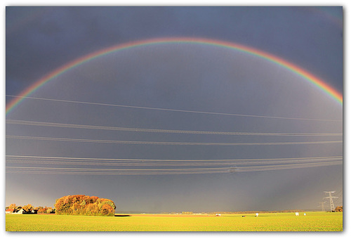 Lignes & courbes