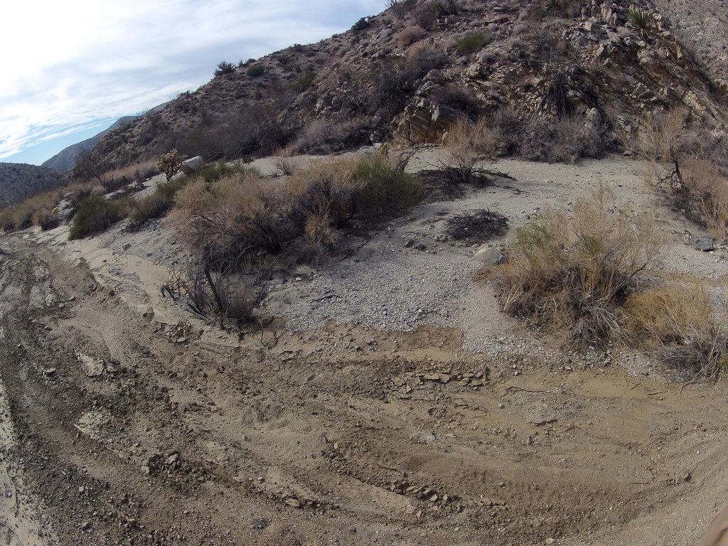 Long Canyon (21268)