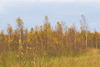 20131020-DSC01211.jpg