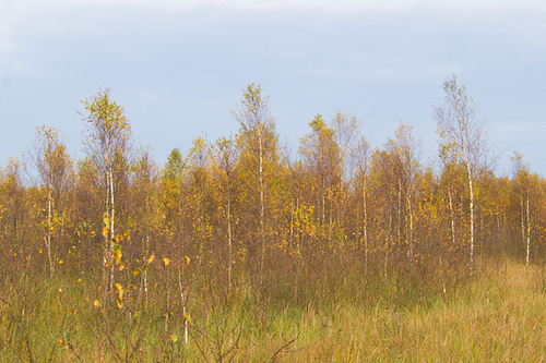20131020-DSC01211.jpg