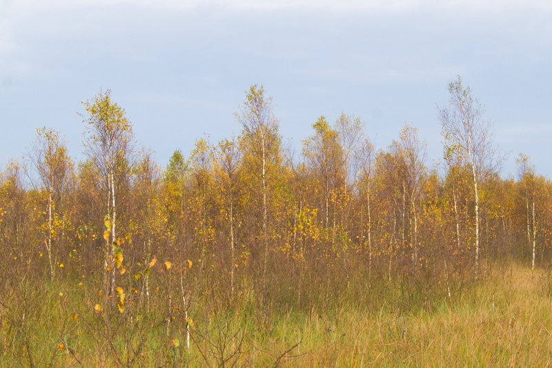 20131020-DSC01211.jpg