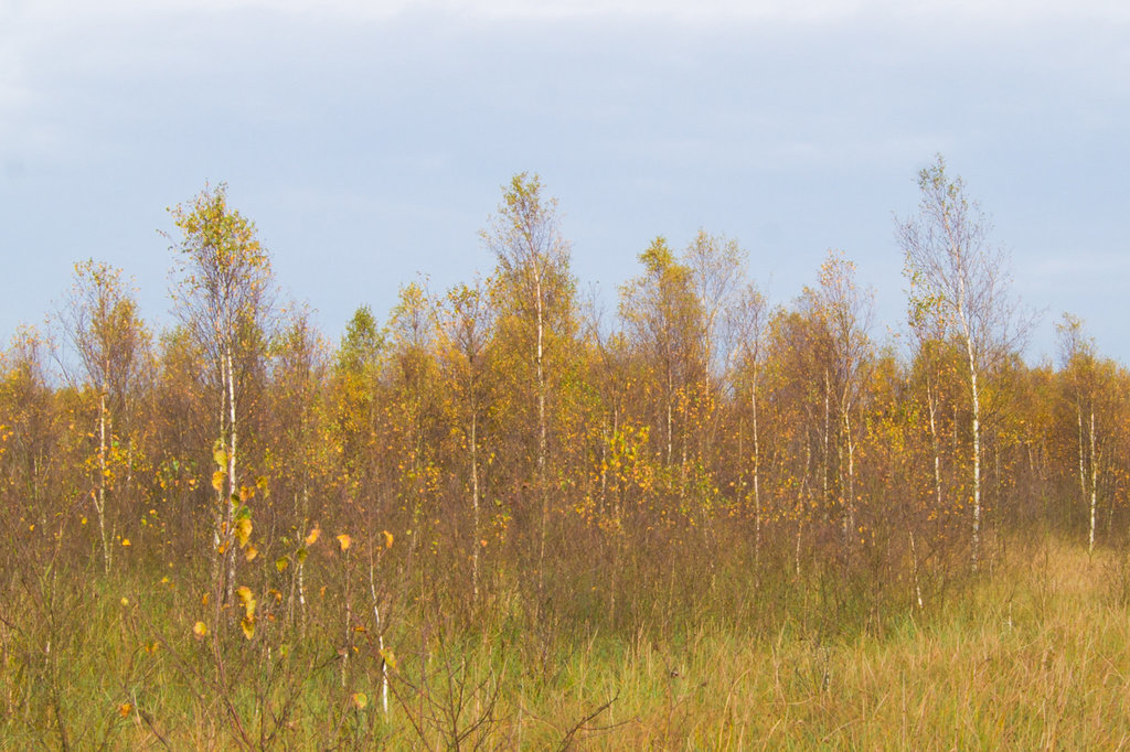 20131020-DSC01211.jpg