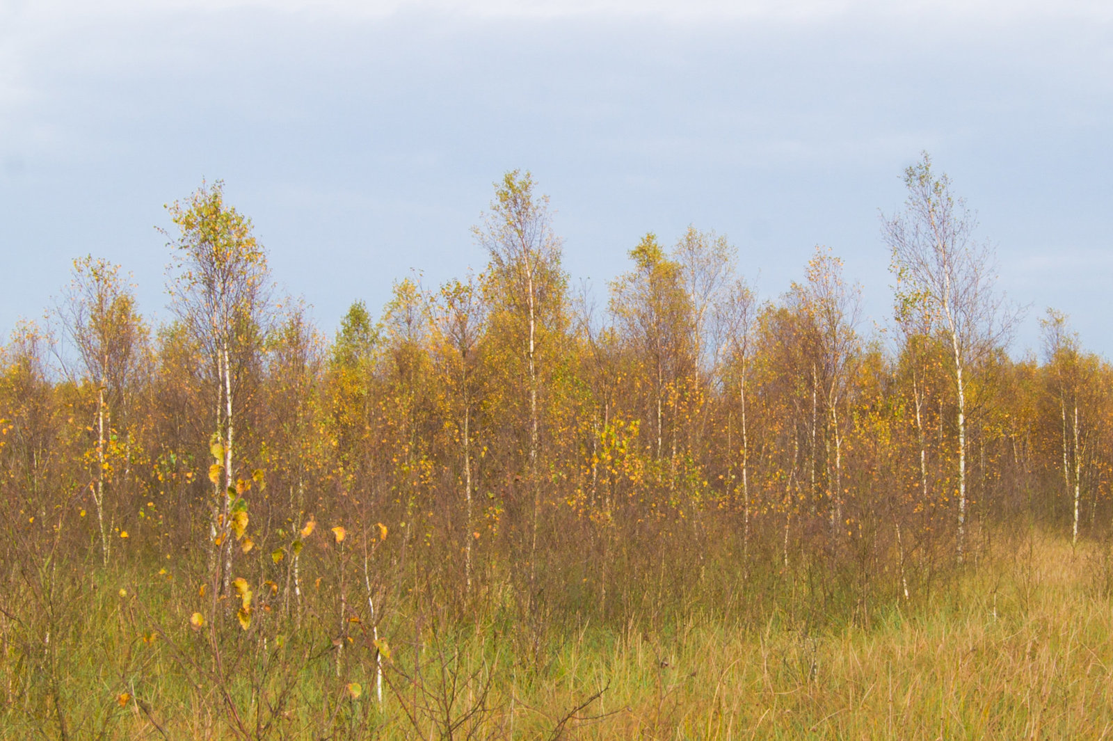 20131020-DSC01211.jpg