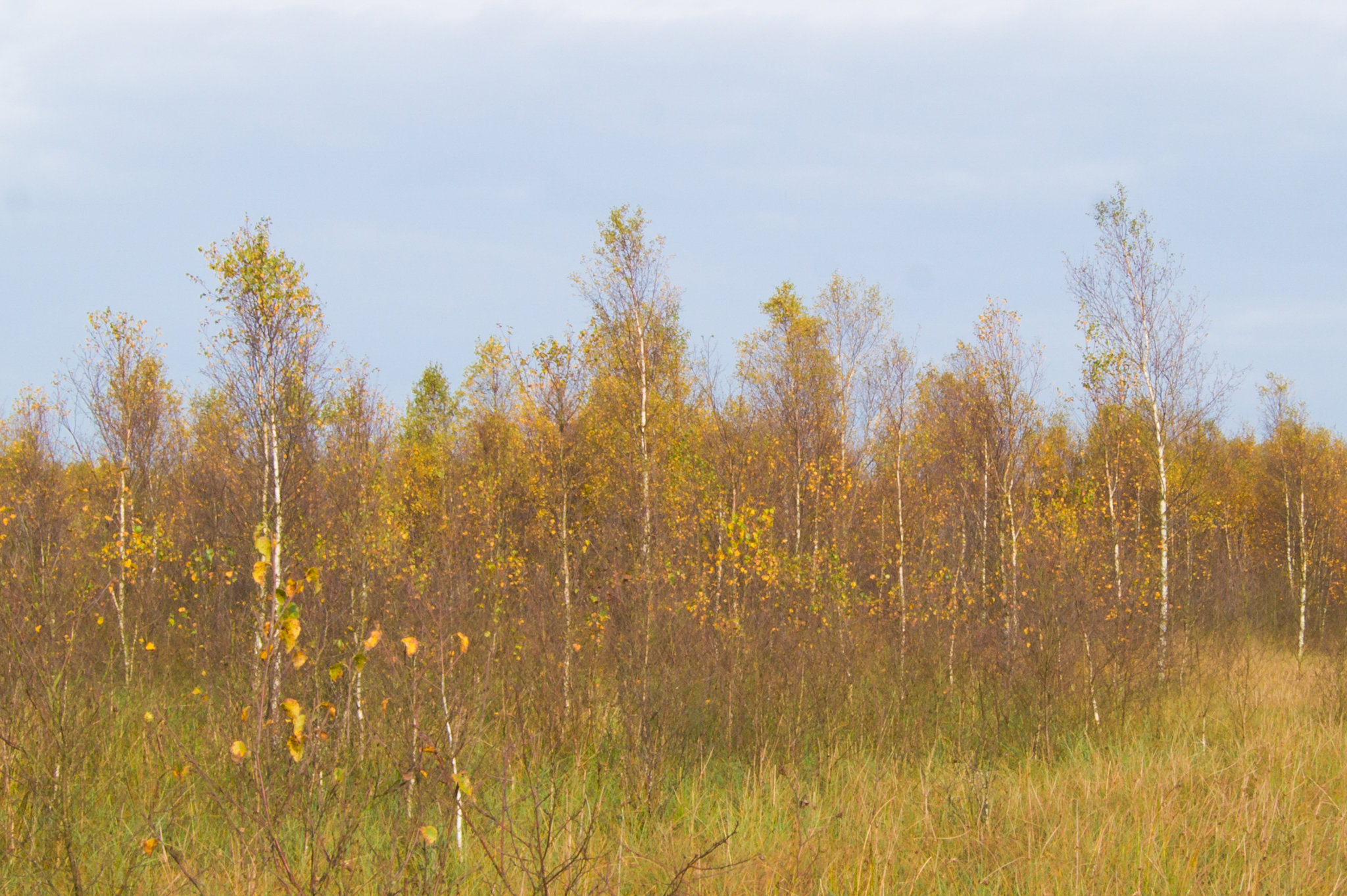 20131020-DSC01211.jpg