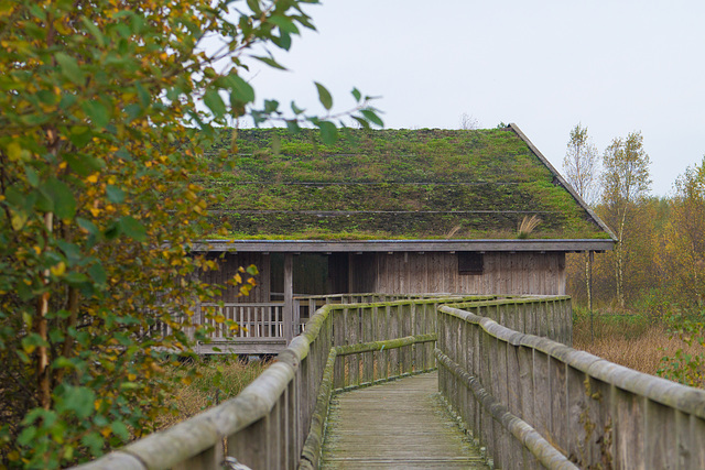 Aschhorner Moor