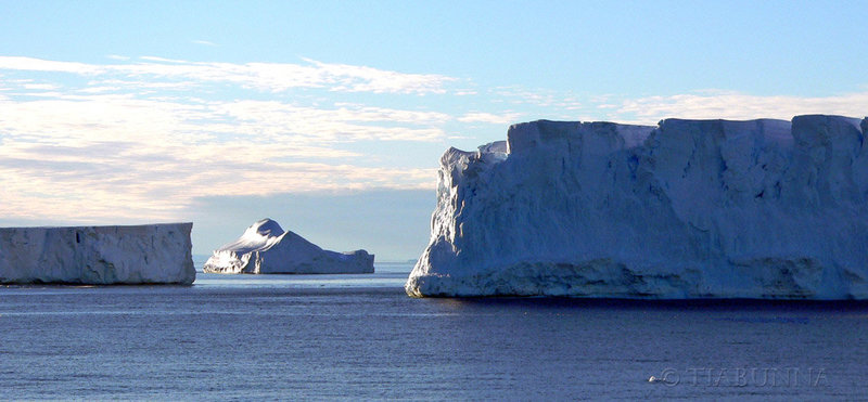 Antarctic Tranquility